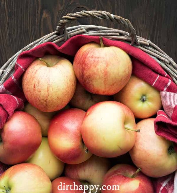 canning apple pie filling