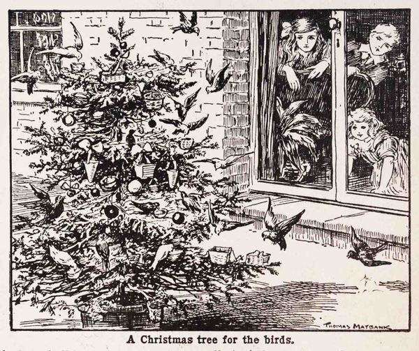 Christmas Tree For The Birds Bok Maybank Webres