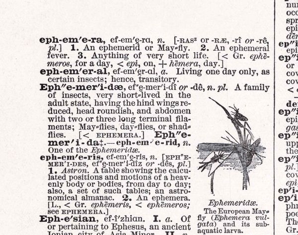 Ephemera Dictionary Page Pronounciation Web
