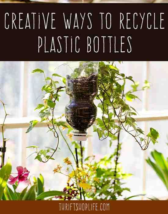 Creative Recycling Ideas for Plastic Bottles