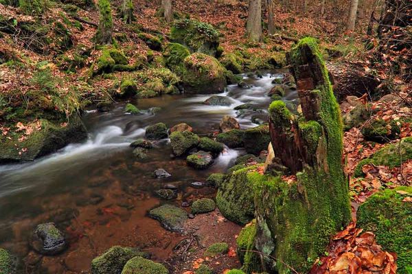 Rock Collecting In Streams And Rivers
