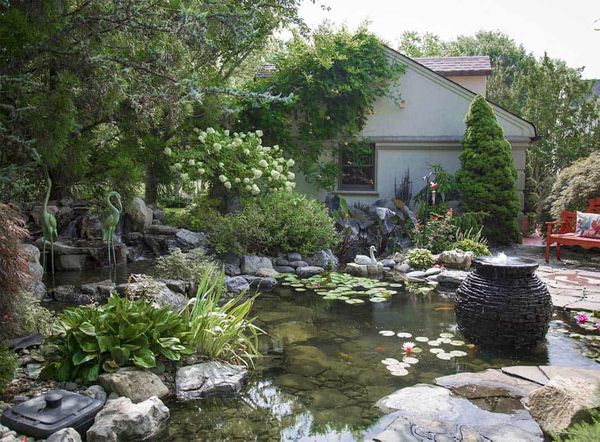 side yard pond