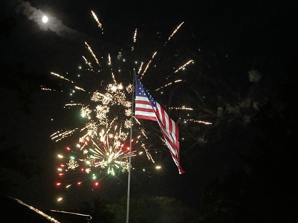 Independence Day Observed (And Friday's Cat Photos!)