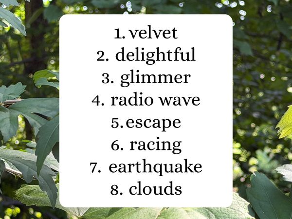 8 Words a Week July 26 2026