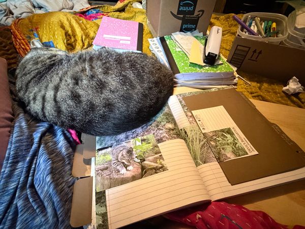 Dirt Happy, Composition Notebooks & Cats: Updates for August 14 2026