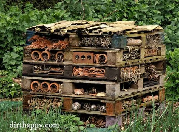 How to Build an Insect Hotel