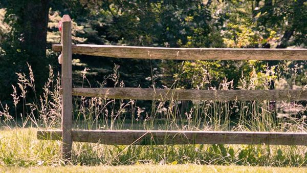 151 Ways to Start a Homestead – Even With No Land or Money
