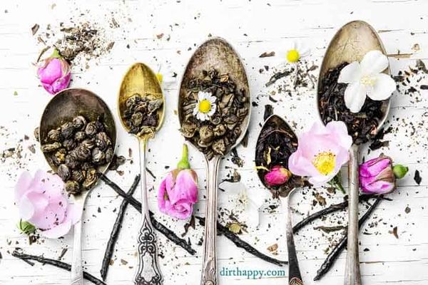 How to Dry Herbs