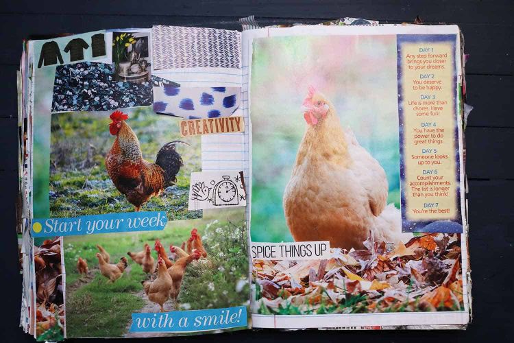 Chickens Everywhere