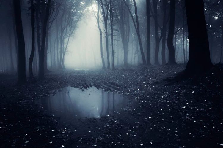 Dark haunted lake in forest