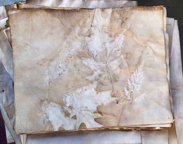 Tea Dyed Papers