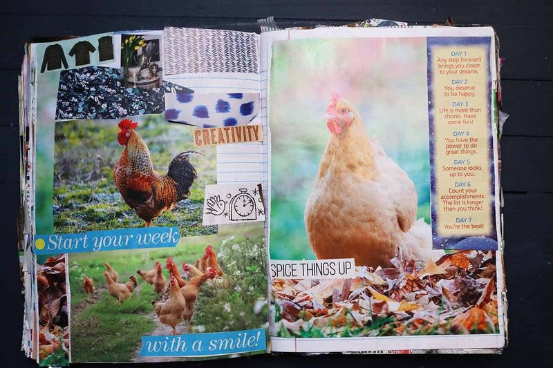 Chickens Everywhere