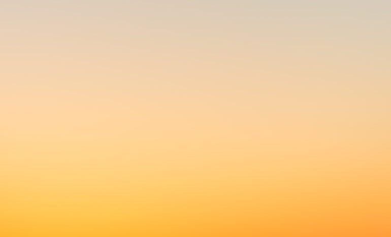 Jahresbericht 2021/2022