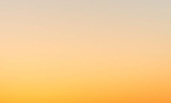 Jahresbericht 2021/2022