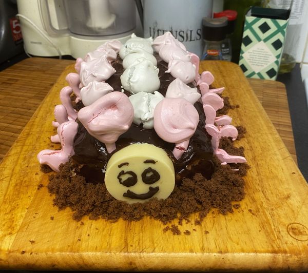 The Not-So-Great Bake Along Week 8