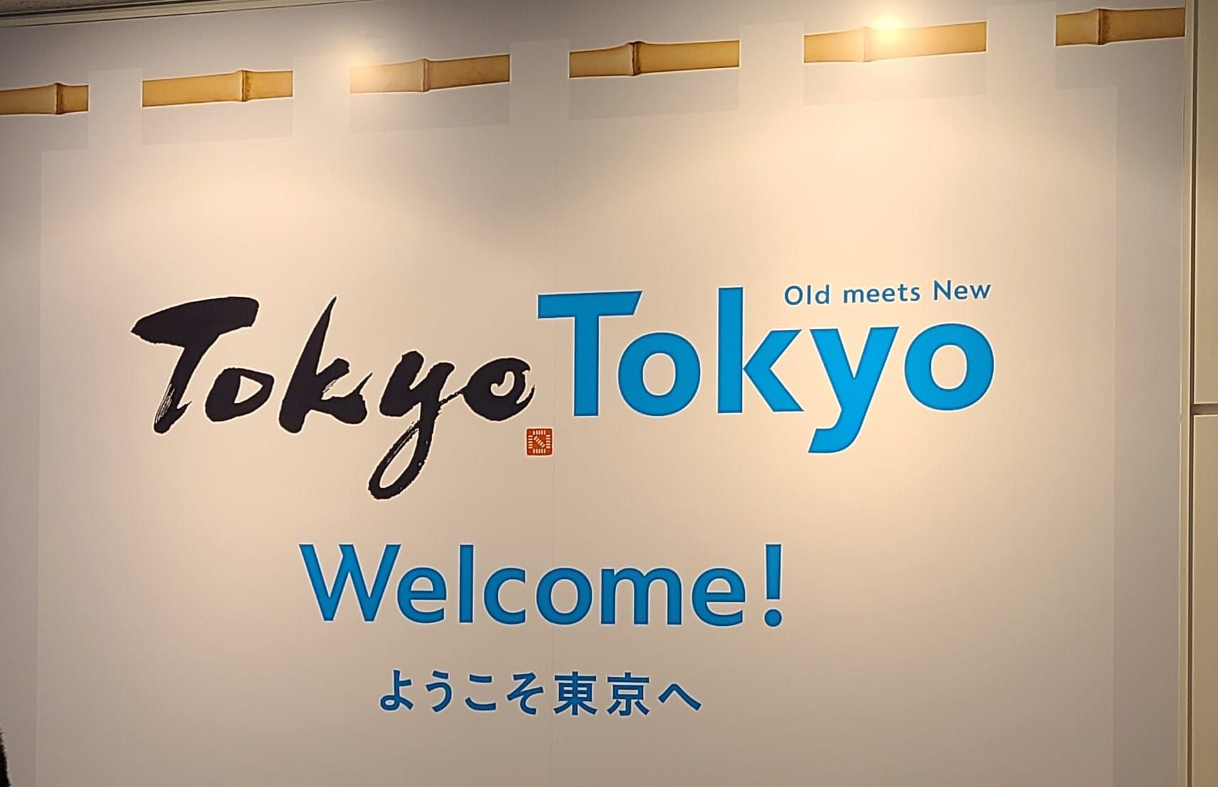 Solo Trip to Japan, 2024