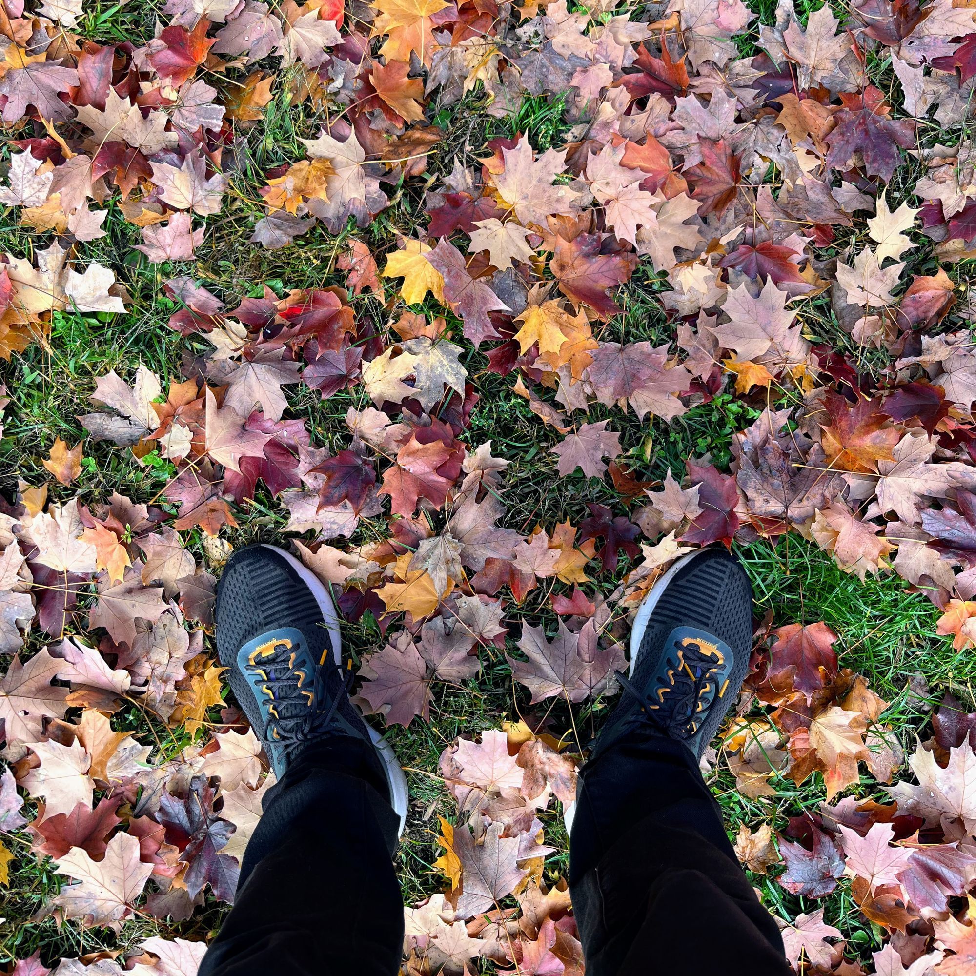 Embrace Your Civic Duty