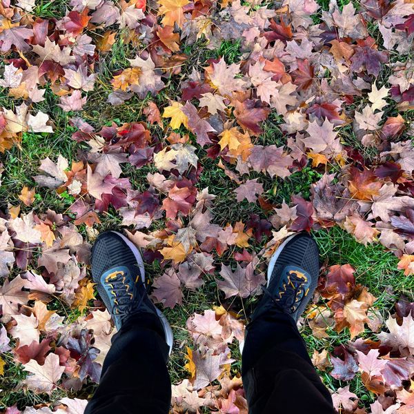 Embrace Your Civic Duty