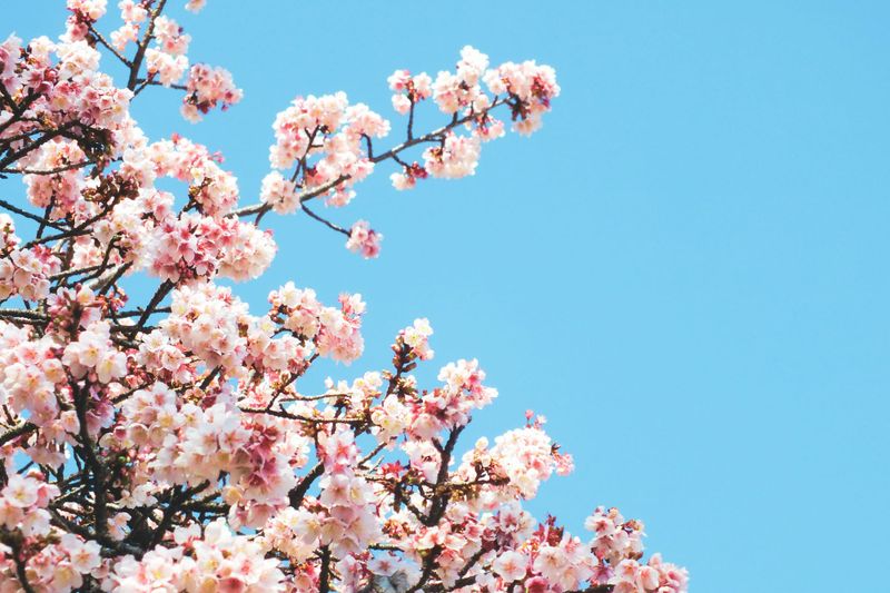 🌧️April showers bring May flowers🌷