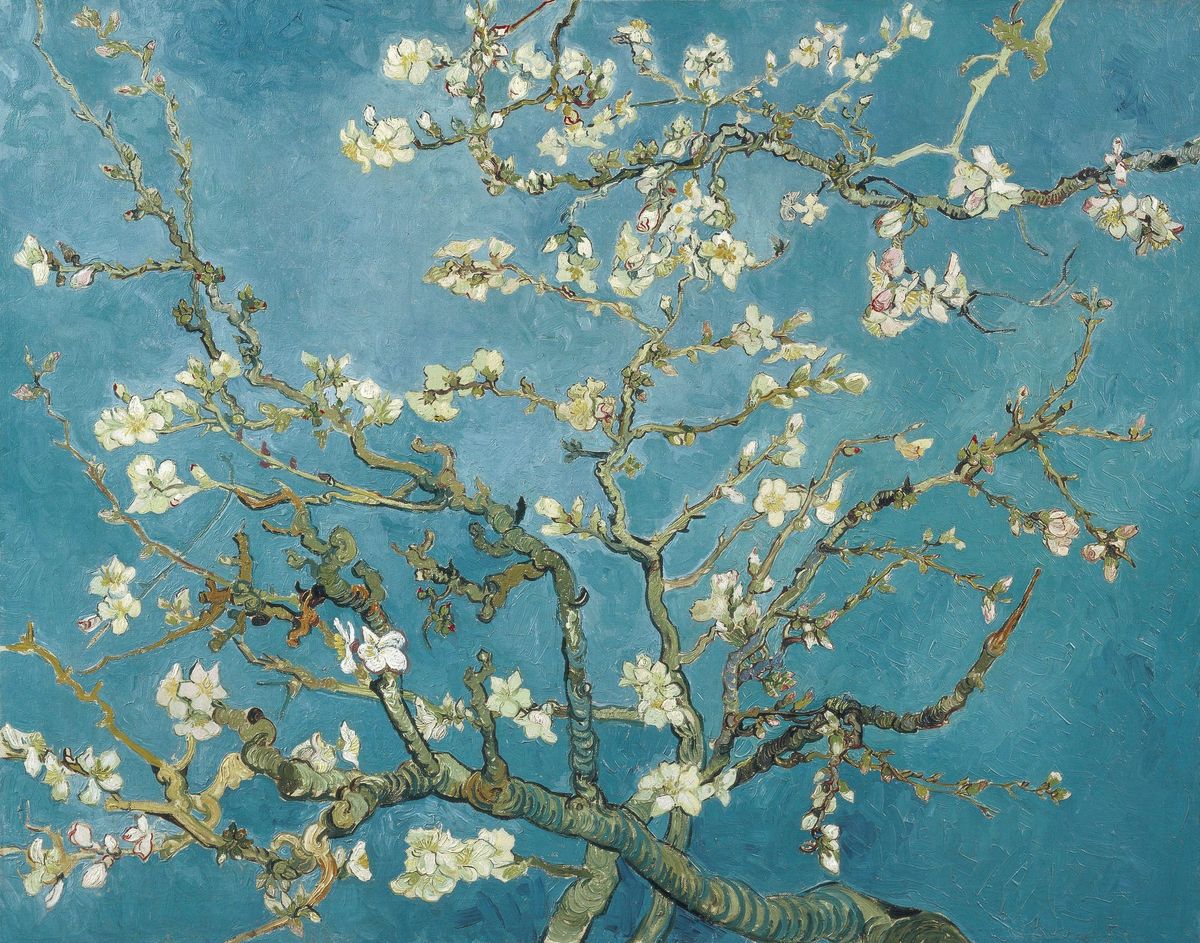새 생명을 축복하는 눈부신 봄의 환희, 꽃피는 아몬드 나무 Almond Blossom