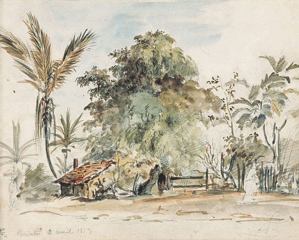파리아타의 오두막과 열대 식생 (Pariata, 18 avril 1853)