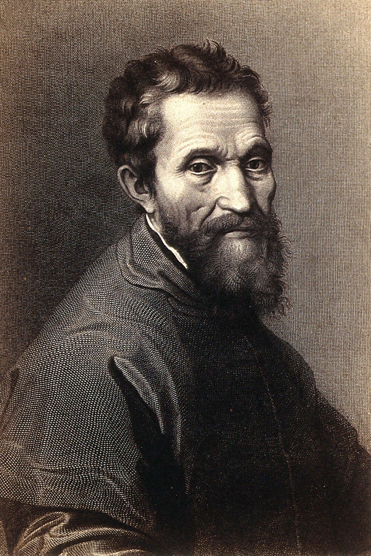 미켈란젤로 부오나로티의 초상 (Portrait of Michelangelo Buonarroti)