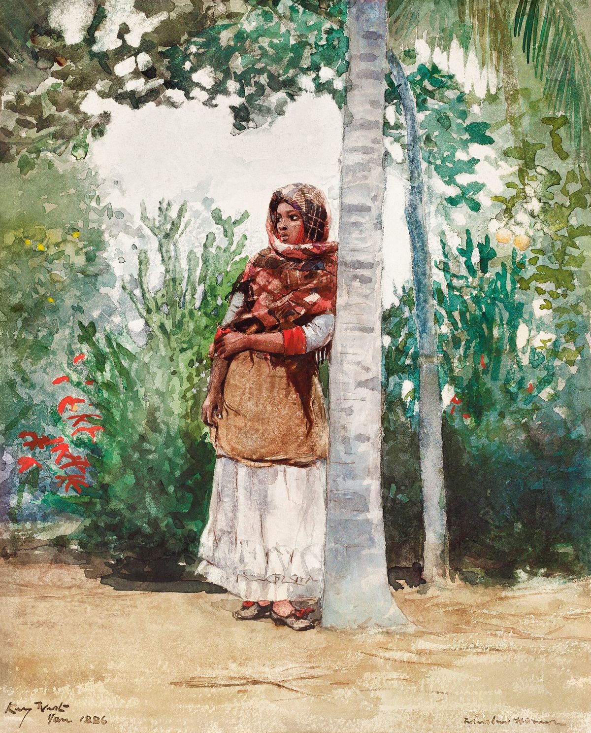코코넛 야자나무에 기댄 여인 - A Woman Resting against a Coconut Palm, Key West