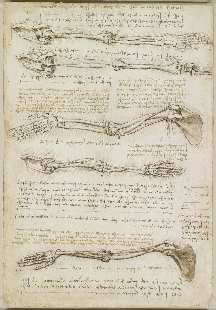 팔의 골격과 회전 해부학 연구 (Anatomical Studies of the Bones of the Arm)