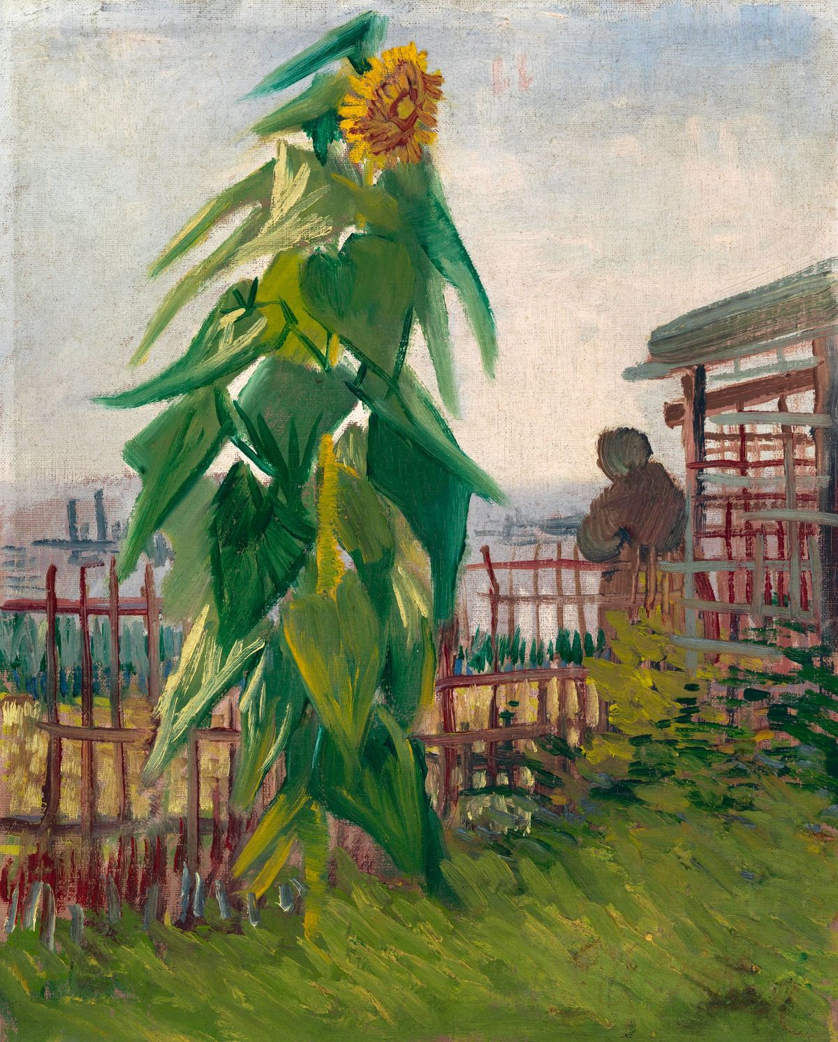 도시의 텃밭에 핀 해바라기 - Allotment with Sunflower (Montmartre: Allotments with a Sunflower)