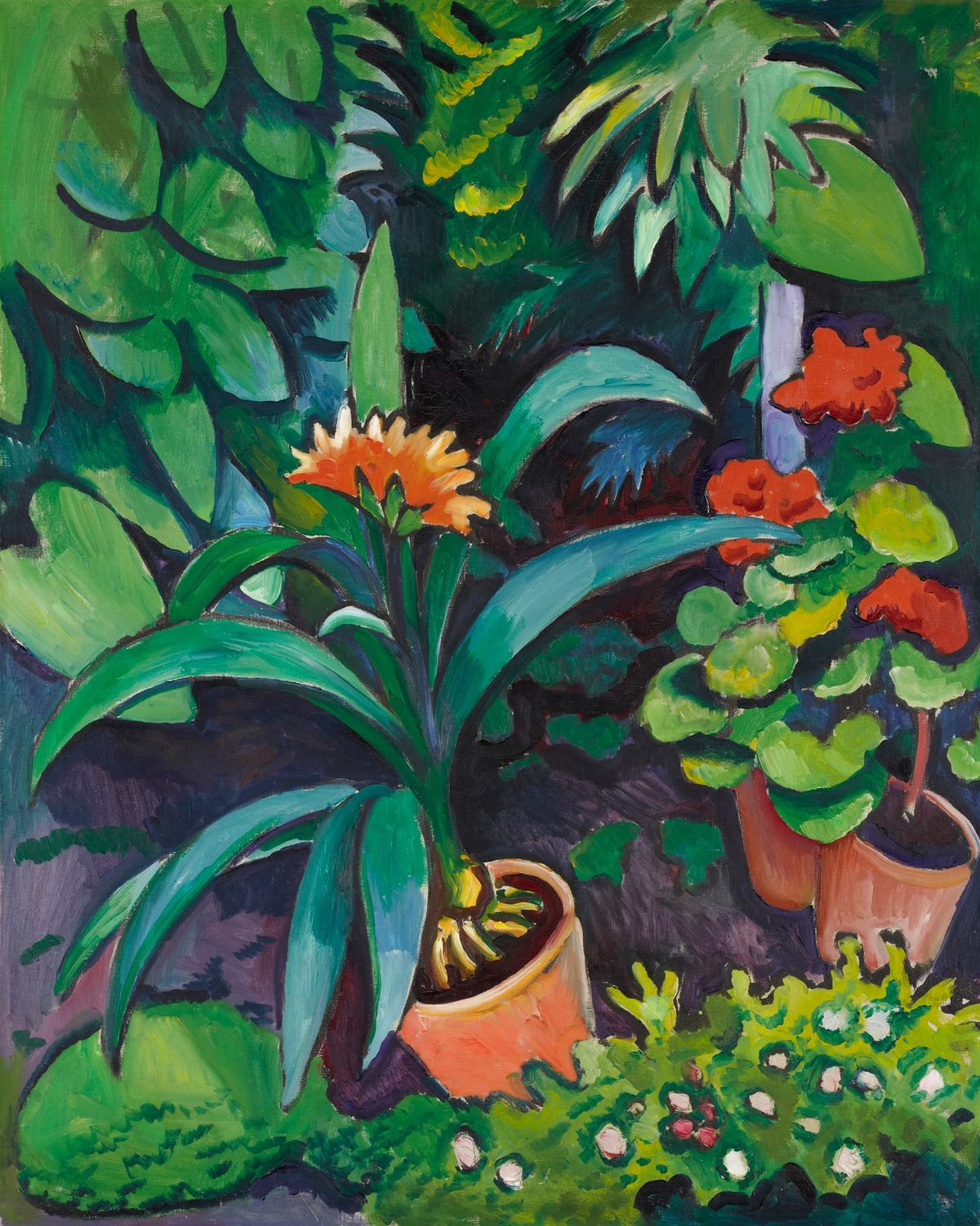 정원의 꽃, 군자란과 제라늄 (Blumen im Garten, Clivia und Pelargonien)