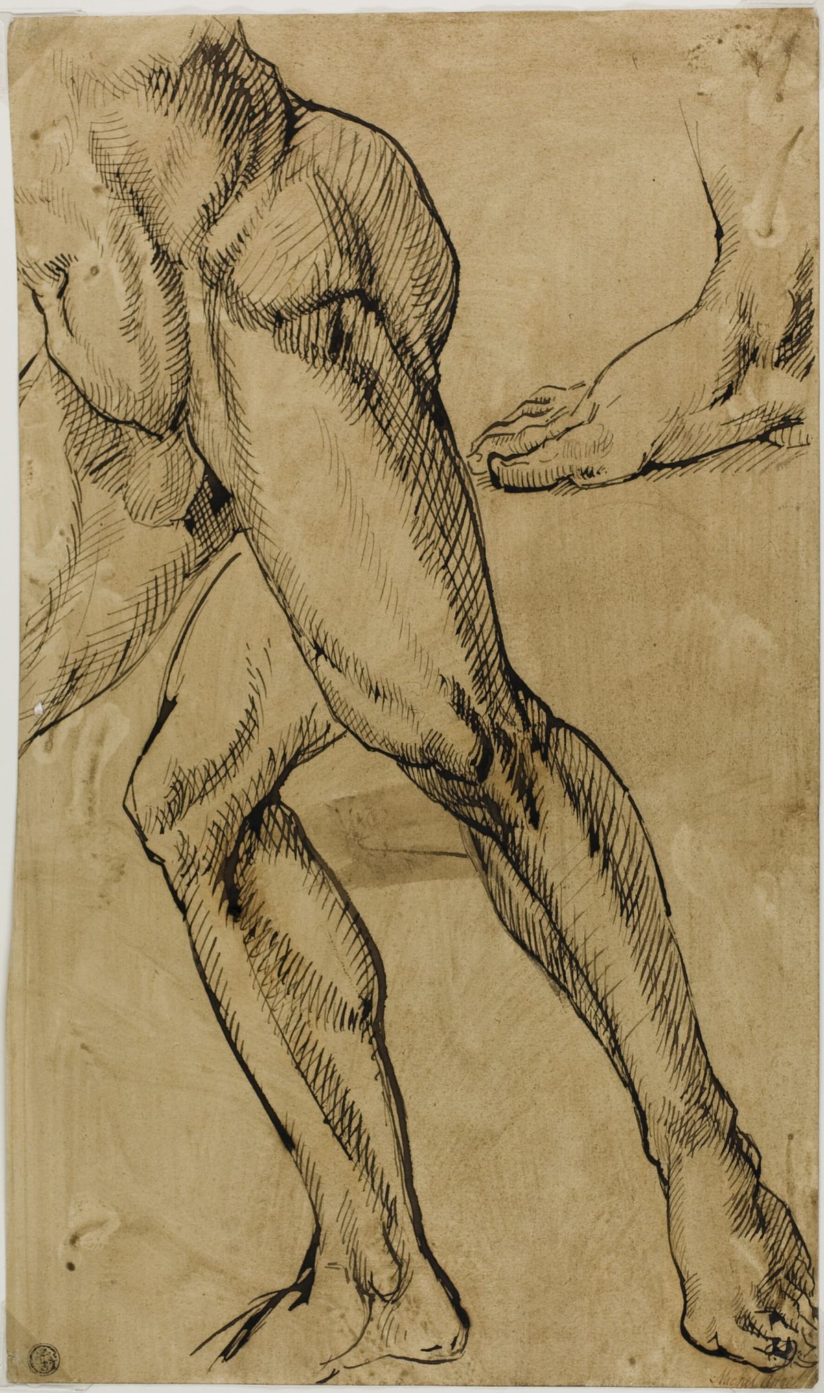 남성 누드의 다리와 발 습작 (Study of the Legs and Foot of a Nude Male)