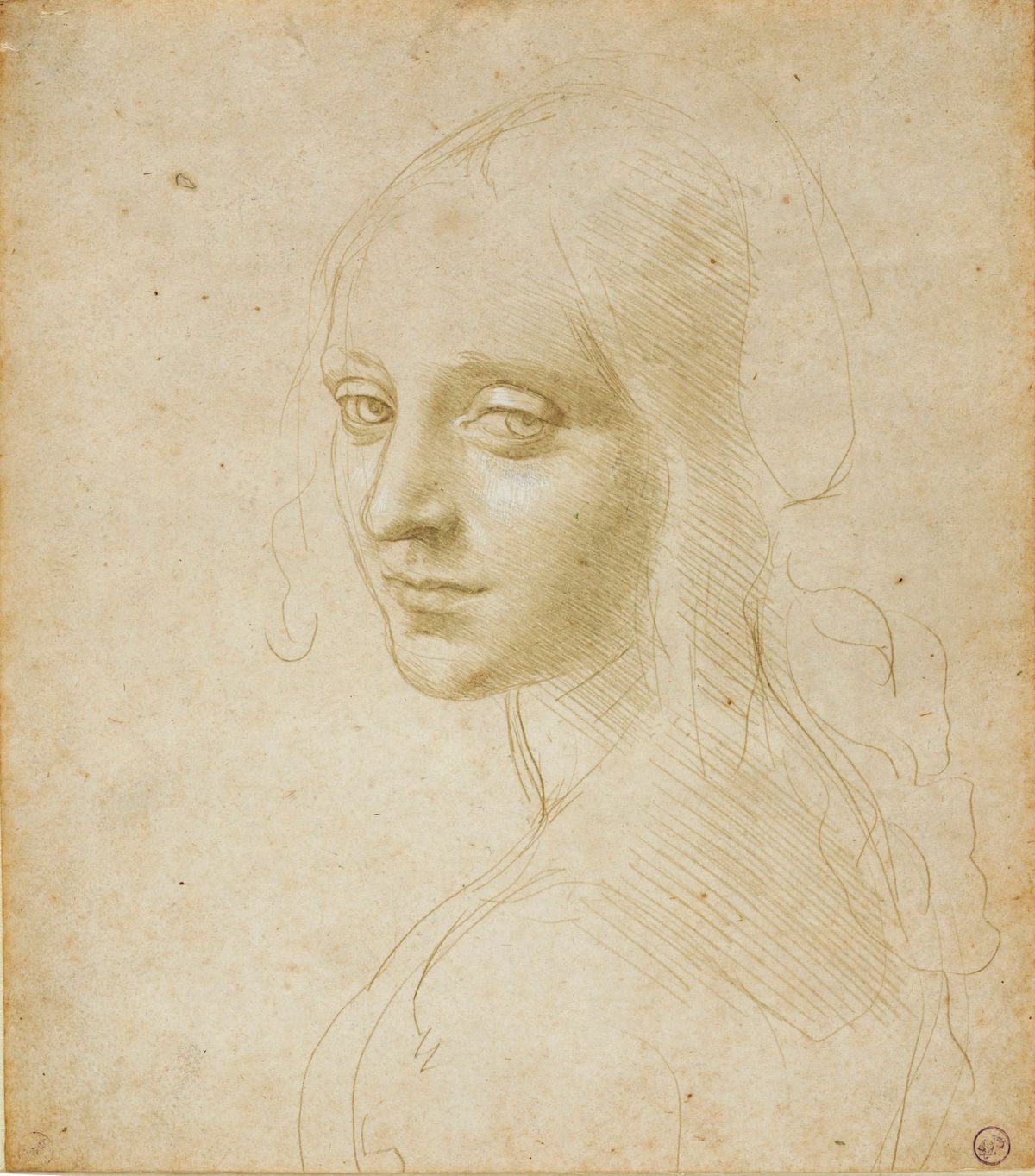 젊은 여인의 머리 습작 (Head of a Young Woman / Study for the Angel in 'Virgin of the Rocks')