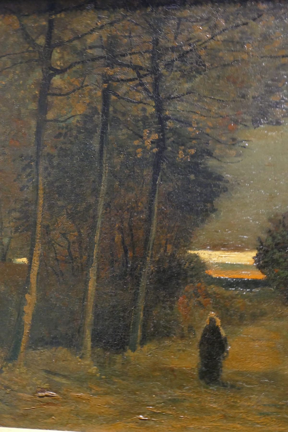 황혼의 포플러 오솔길 - Lane of Poplars at Sunset