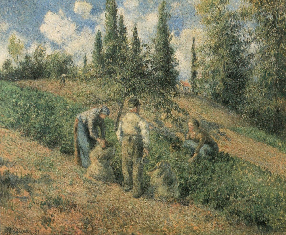 사과 수확, 퐁투아즈 - Apple Harvest, Pontoise (Récolte des pommes, Pontoise)