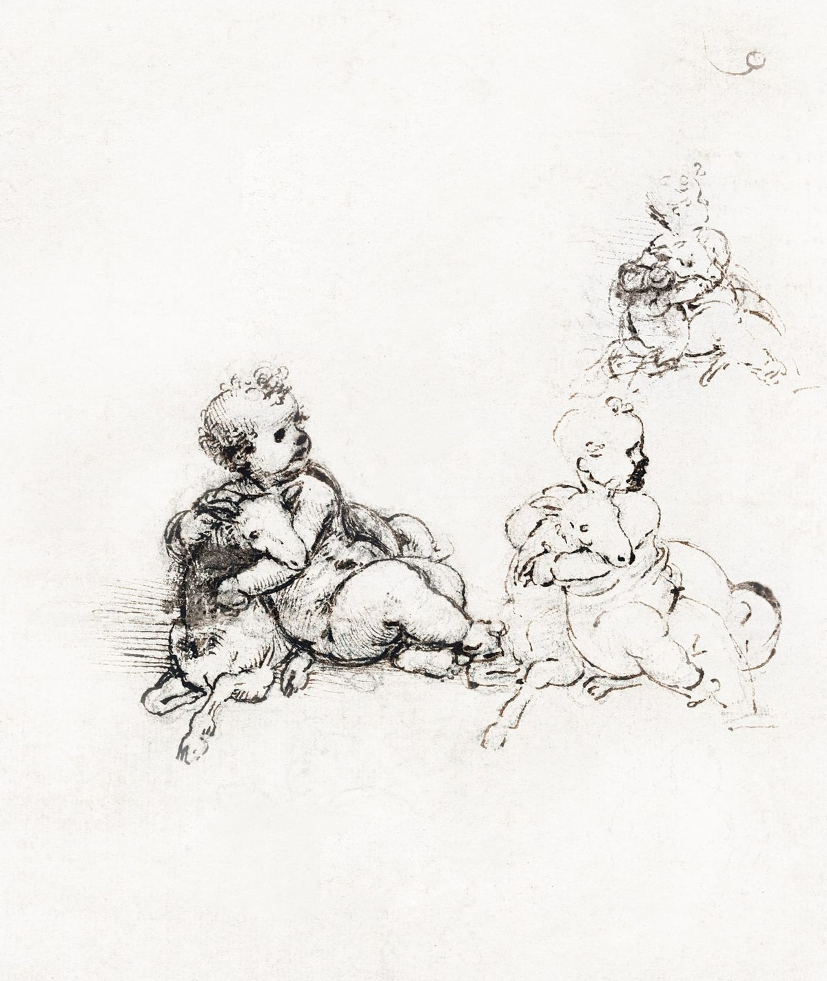 아기와 어린 양 습작 (Studies of the Infant Christ with a Lamb)