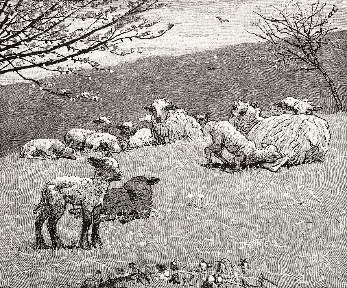 봄의 언덕 위 양 떼 - Sheep on a Hillside, Pastoral