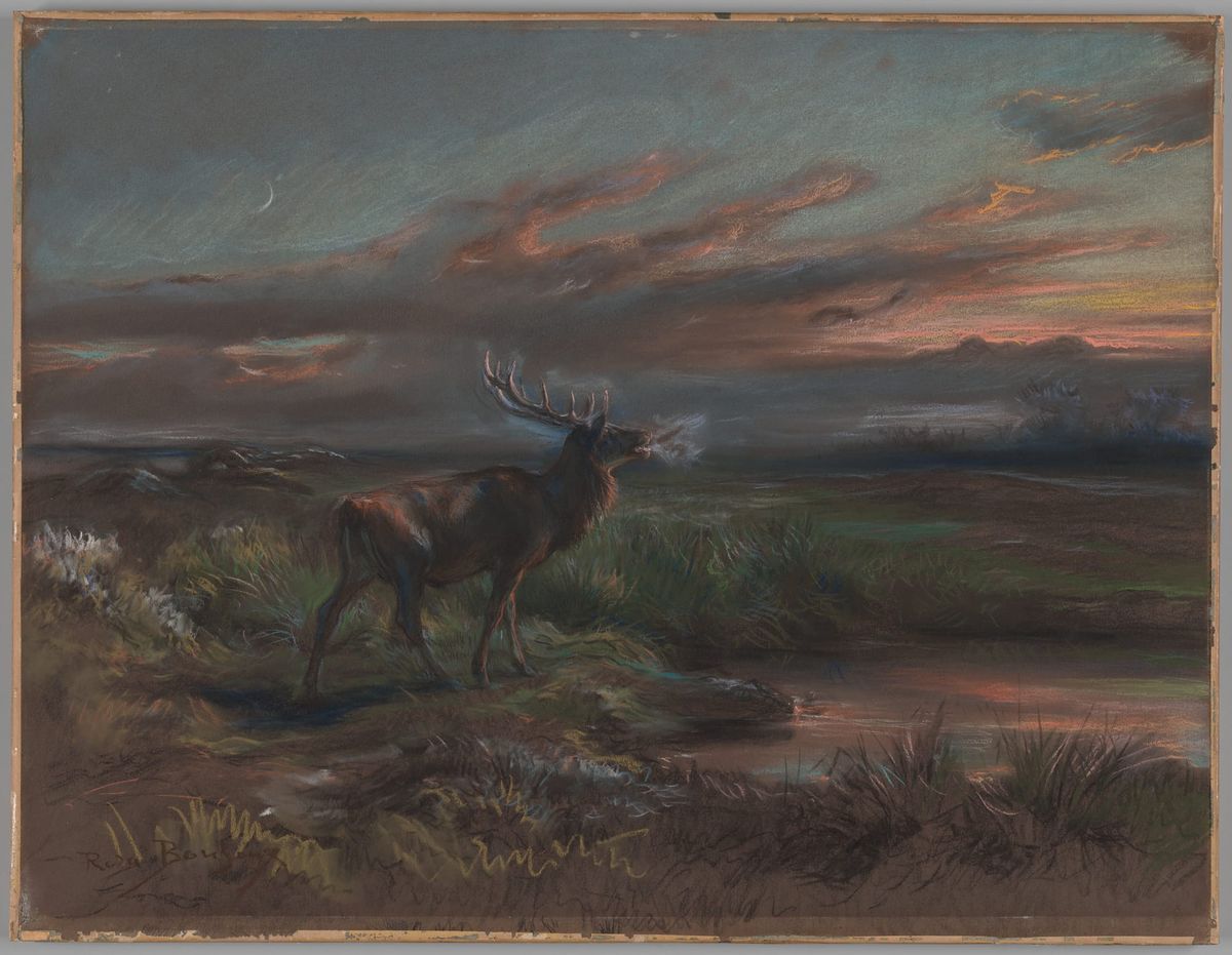 울부짖는 사슴 (The Bellowing Stag)