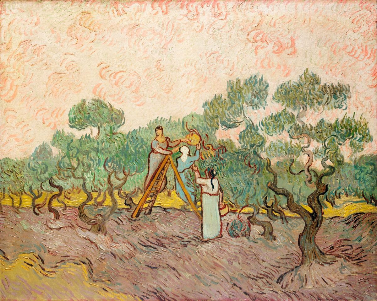 올리브 수확 - Women Picking Olives