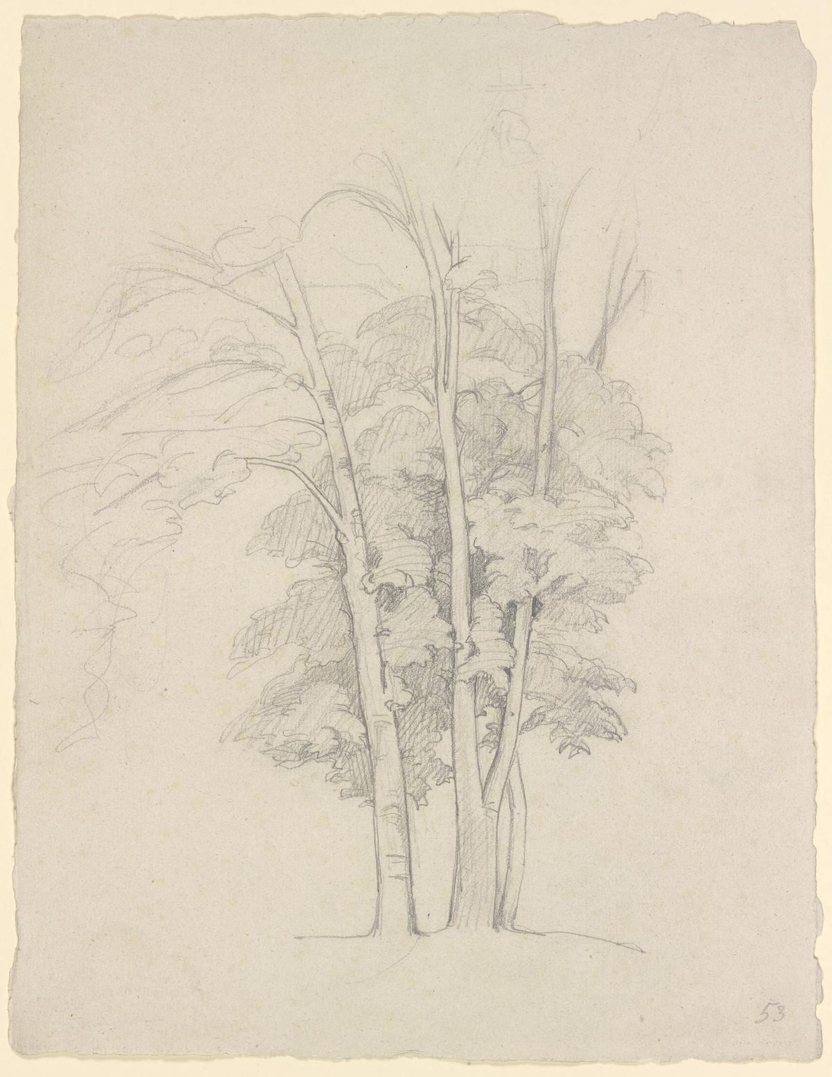 나무 연구 (Study of Trees)