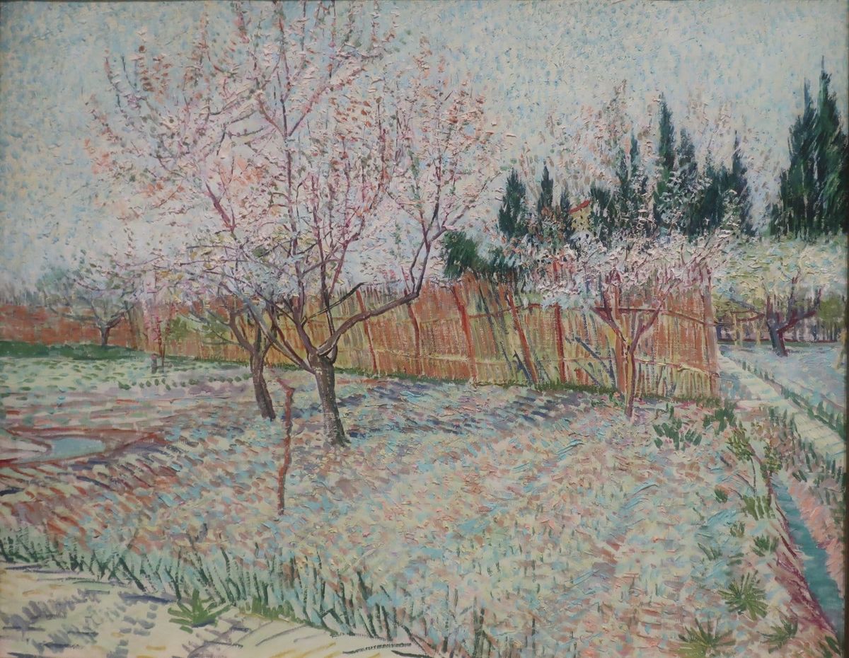 복숭아 과수원 Orchard with Peach Trees
