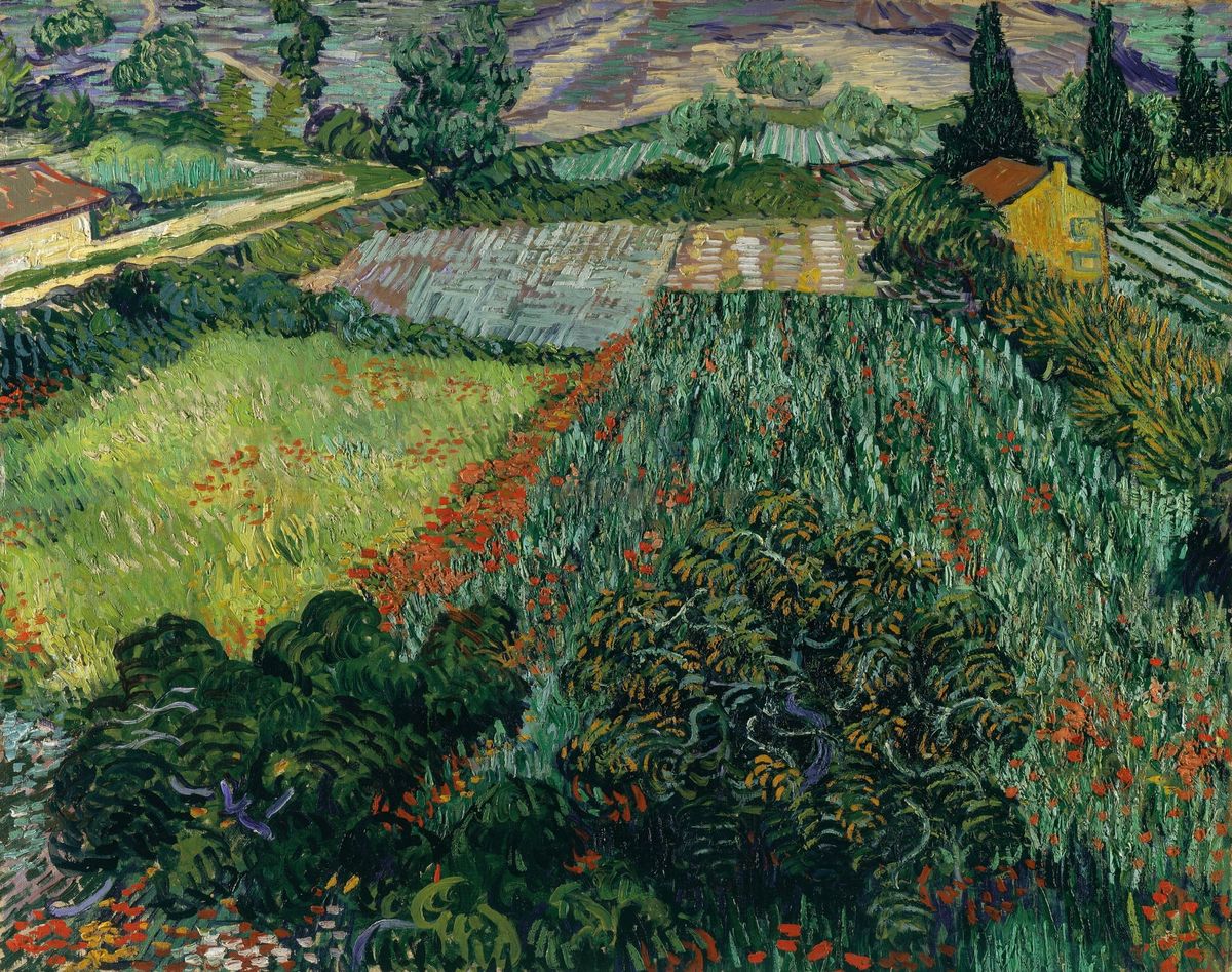 양귀비가 있는 들판 Field with Poppies