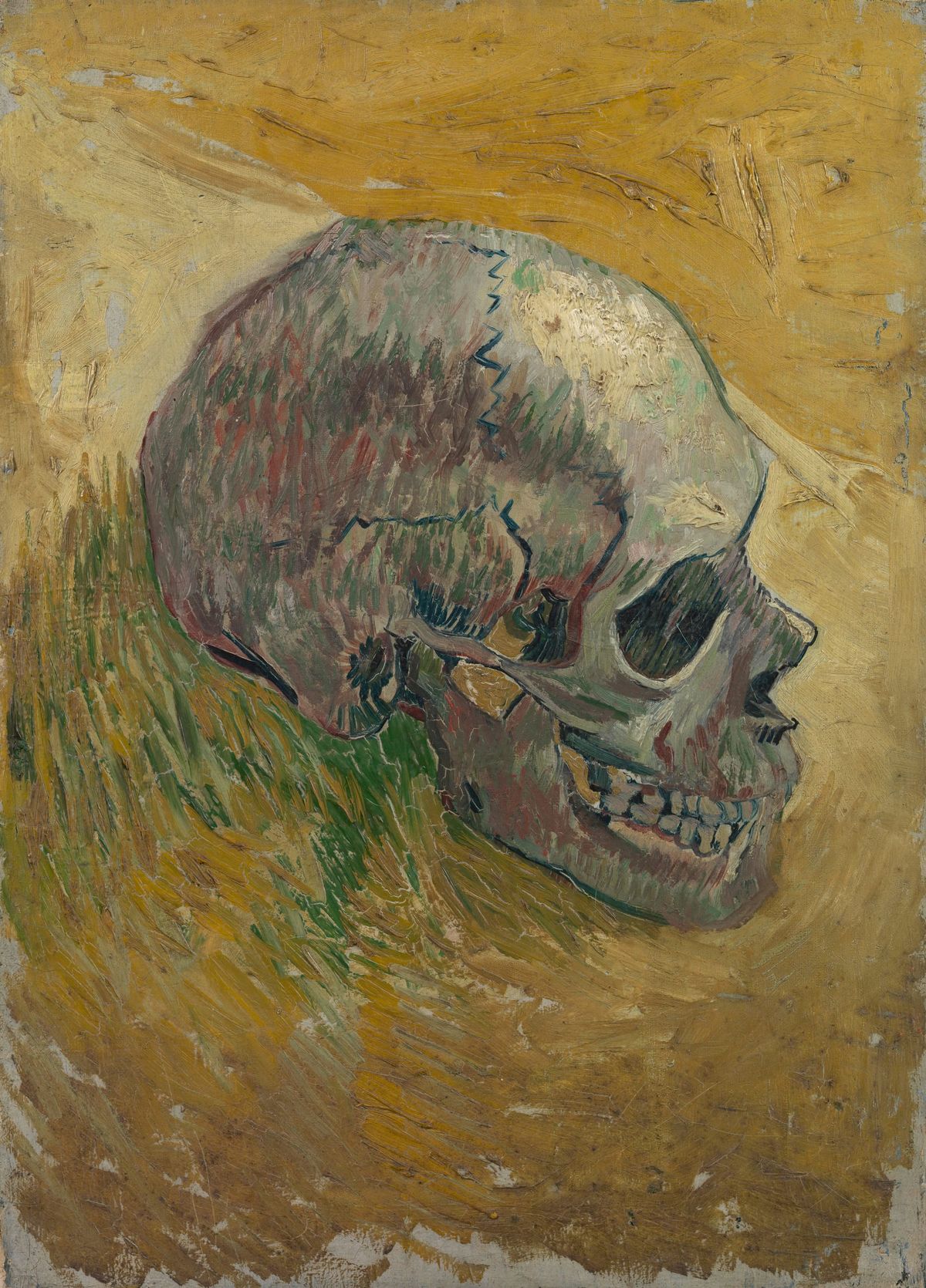 해골 Skull