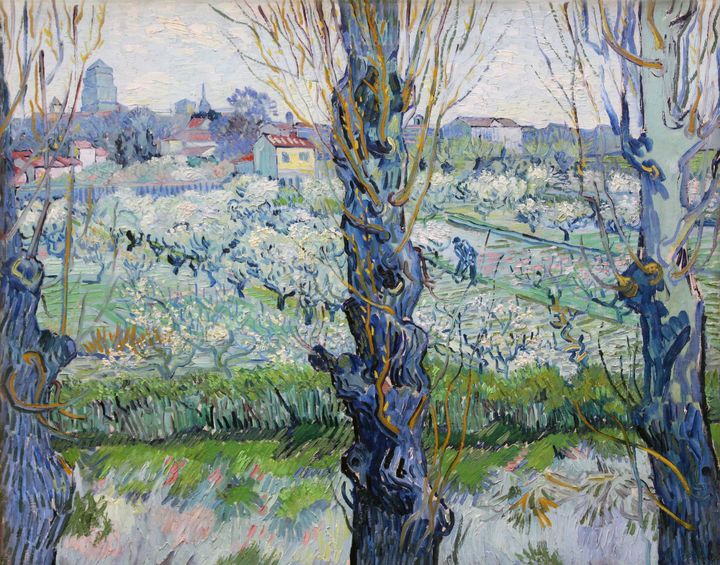 고목의 틈새로 펼쳐진 아를의 눈부신 봄날, 꽃피는 과수원과 아를의 풍경 Orchard in Blossom, View of Arles