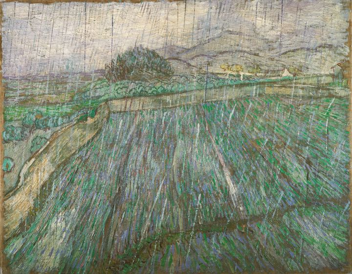 빗줄기 너머로 피어나는 서정적 정화와 대지의 숨결, 비 내리는 밀밭 Rain / Enclosed Wheat Field in the Rain