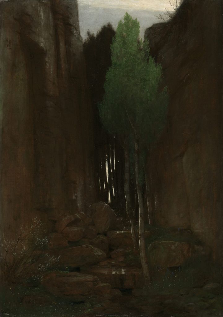 좁은 바위틈 속에서 솟아나는 태고의 생명수, 바위 협곡의 샘 Spring in a Ravine