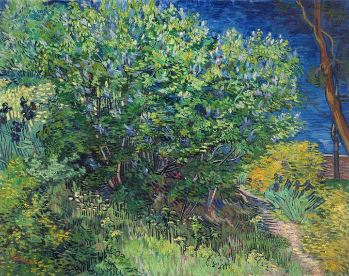 폐쇄된 요양원의 뜰을 가득 채운 보랏빛 위로, 라일락 Lilacs