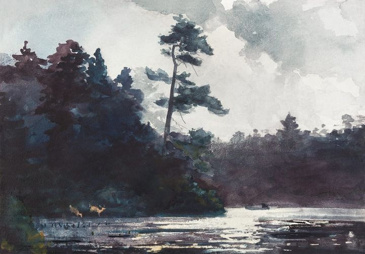 호숫가의 사슴과 소나무 (애디론댁의 황혼) - Deer on a Lake Shore / Twilight, Adirondacks