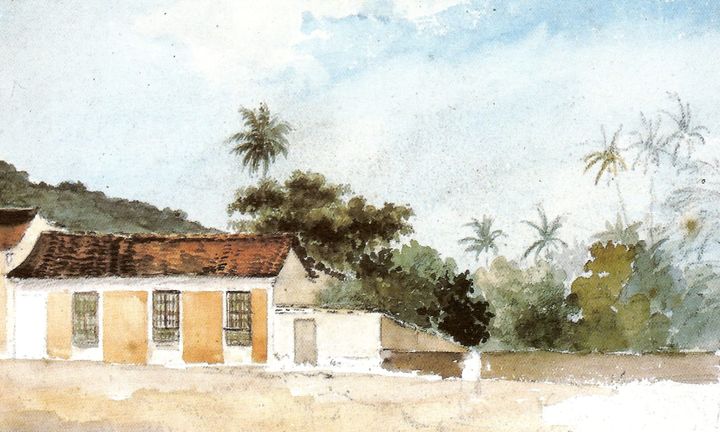 베네수엘라 마이케티아의 가옥과 야자수 (Maison et palmiers à Maiquetía, 1852–1854)