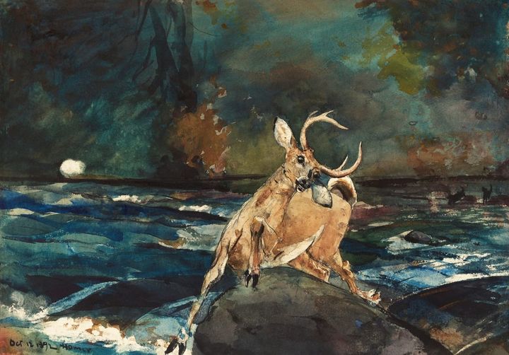 도망치는 사슴 (사냥개에 쫓기는 사슴) - A Deer Drinking / Deer in the Rapids