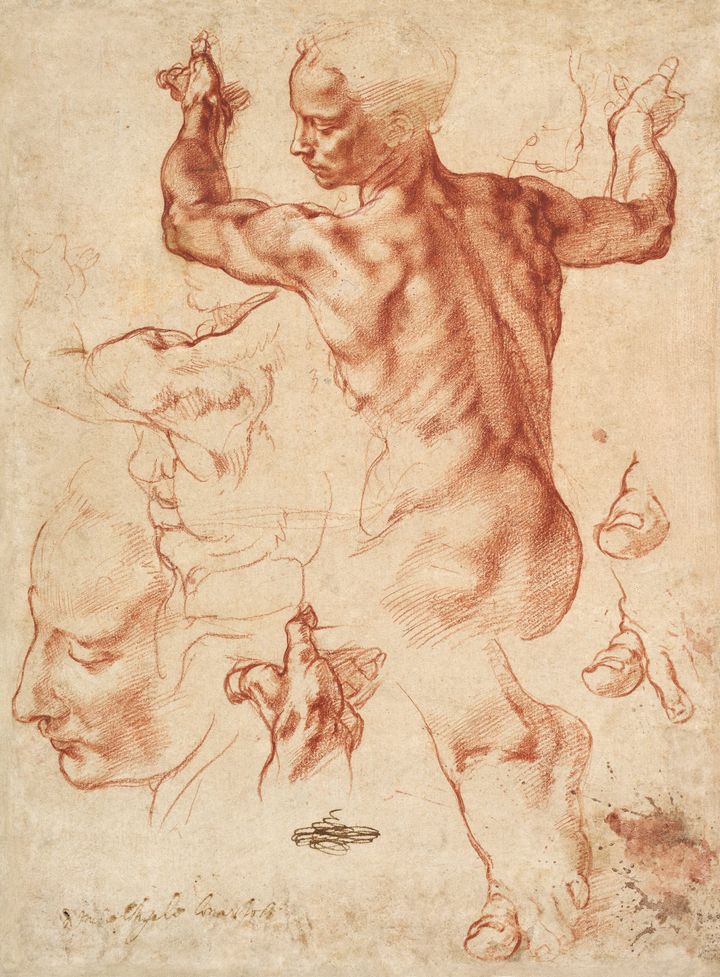 남성의 누드 뒷모습과 세부 스터디 (Studies of a Male Nude and Details)
